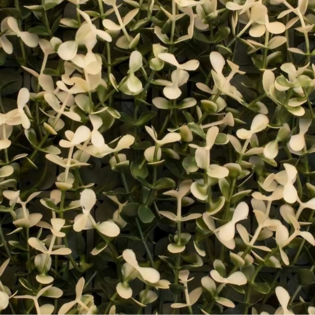 Arrayán Blanco – Panel de Muro Verde Artificial 1x1 m
