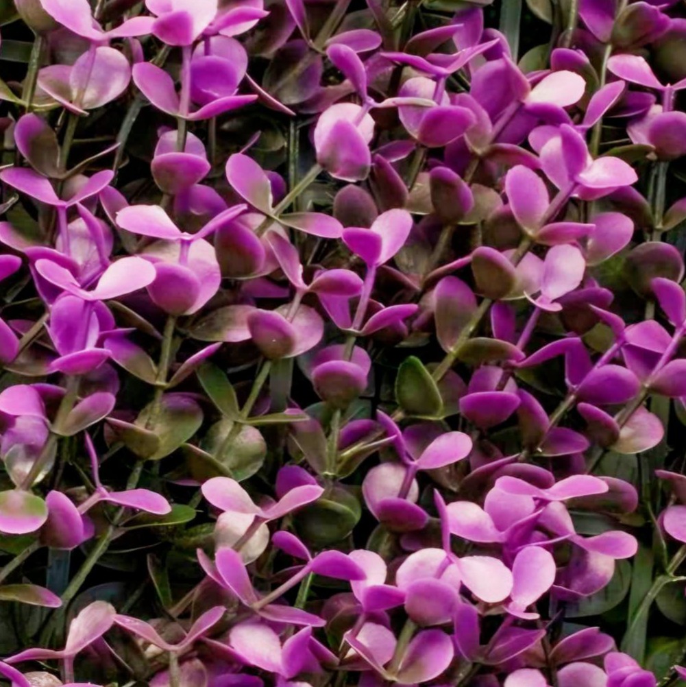 Arrayán Morado – Panel de Follaje Artificial 1x1 m