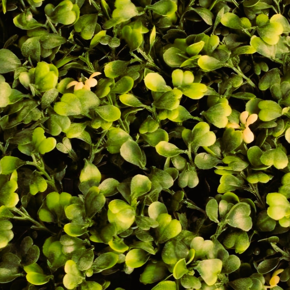 Jazmín – Panel de Follaje Artificial 1x1 m